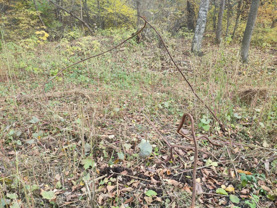 Нарушения - 5.jpg